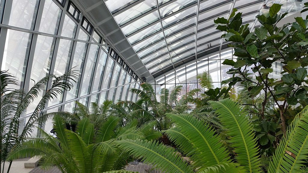 Végétaux intérieurs