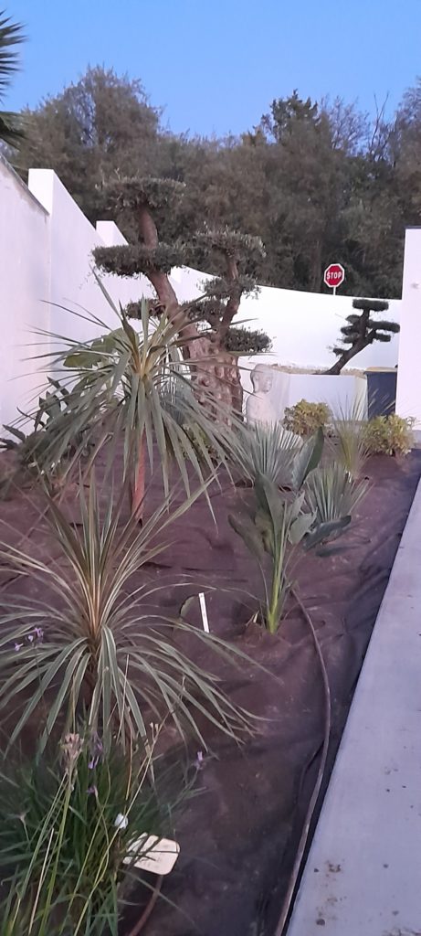 Création de jardin Votre jardin "sur mesure" comme vous le rêvez ! Je suis intéressé !